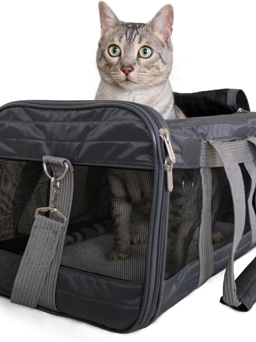 Pet Carrier Airline Approved with Spring Wire Frame - Cat Carrier and Dog Carrie